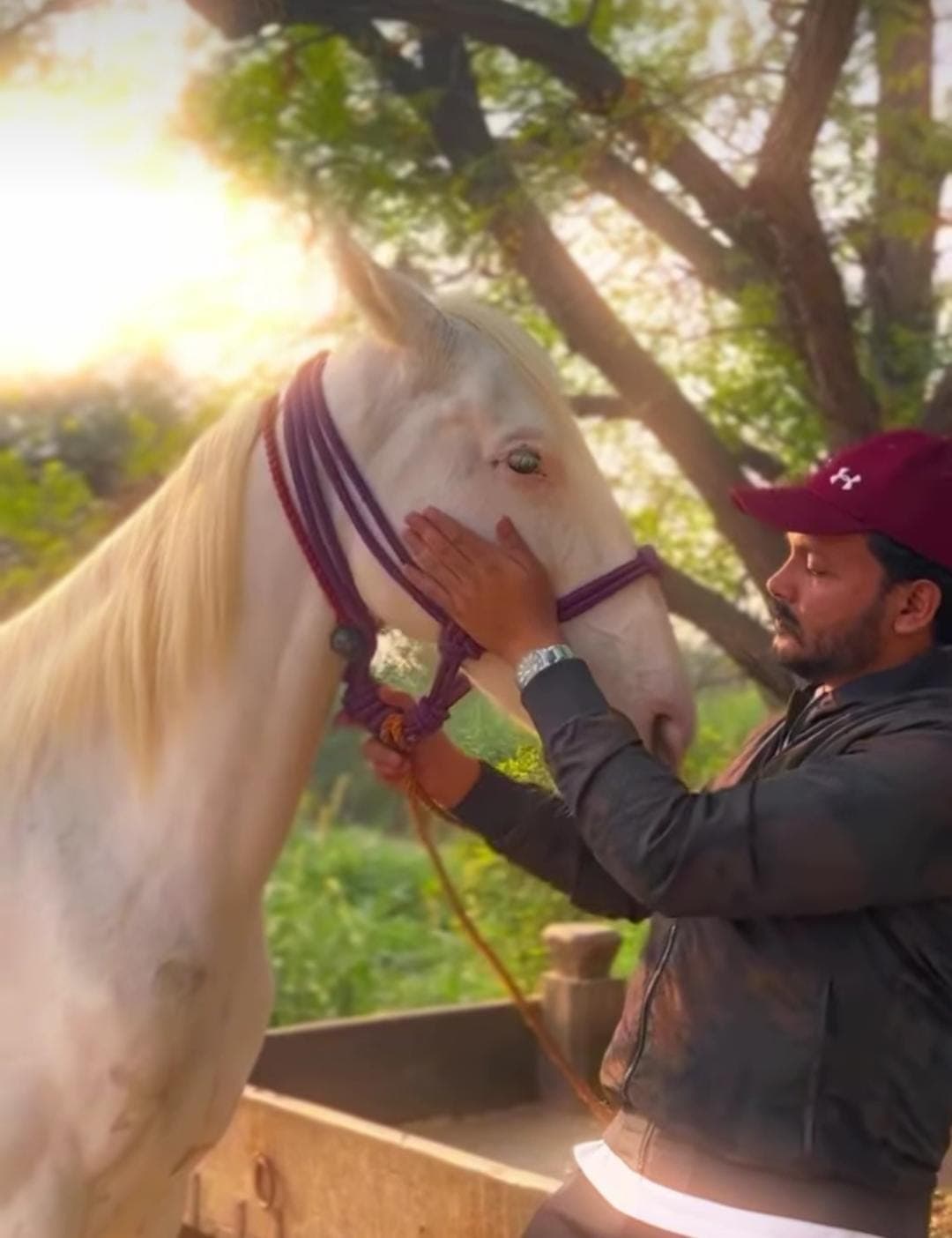 A majestic photo of Nawazish with his horse.